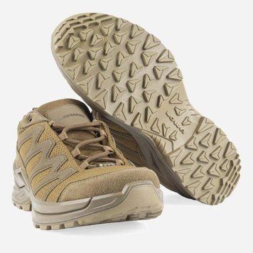Кросівки LOWA INNOX PRO GTX LO Coyote OP (койот) 6700271-410 фото