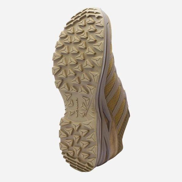 Кросівки LOWA INNOX PRO GTX LO Coyote OP (койот) 6700271-410 фото